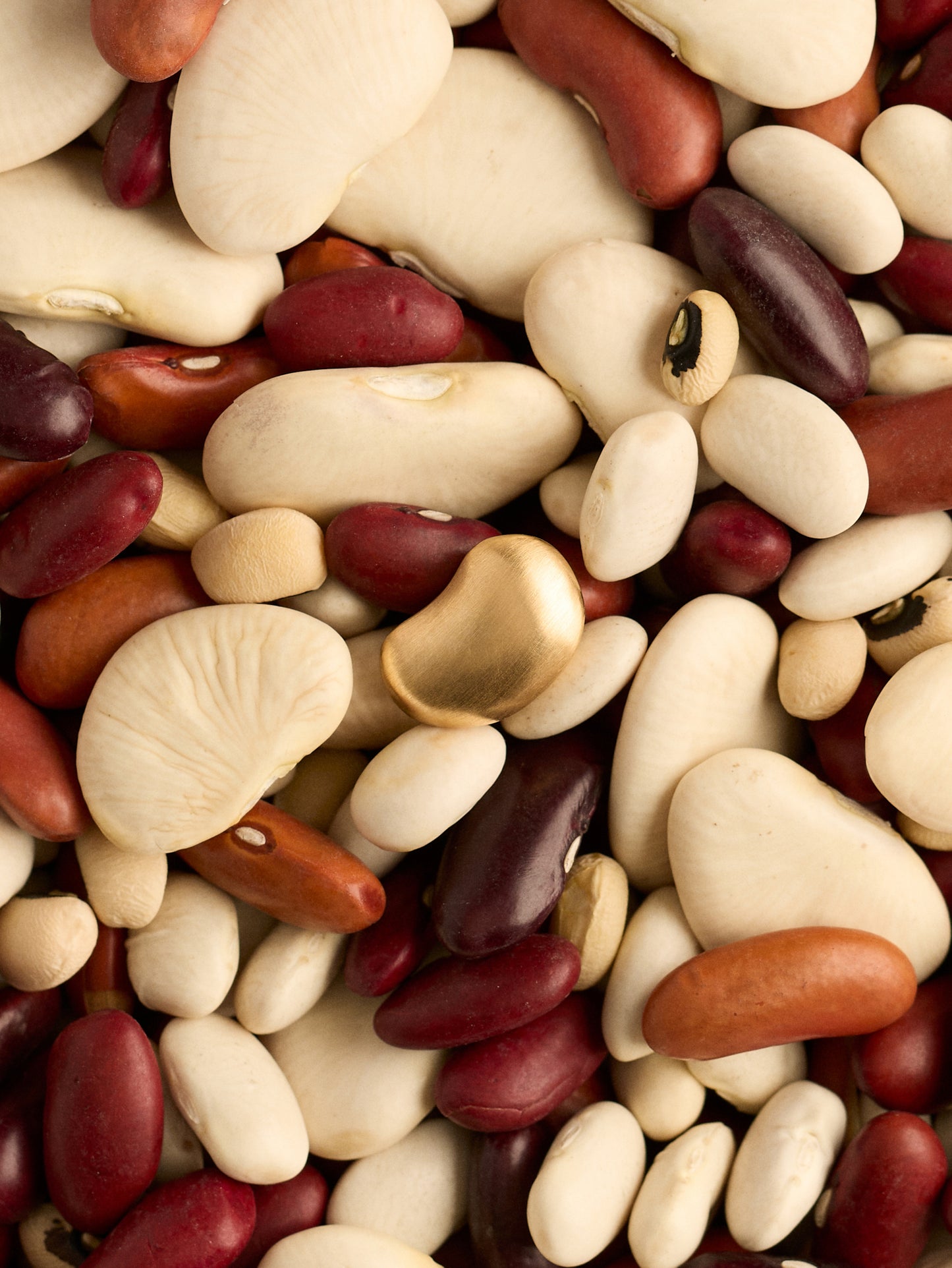 Magic Bean