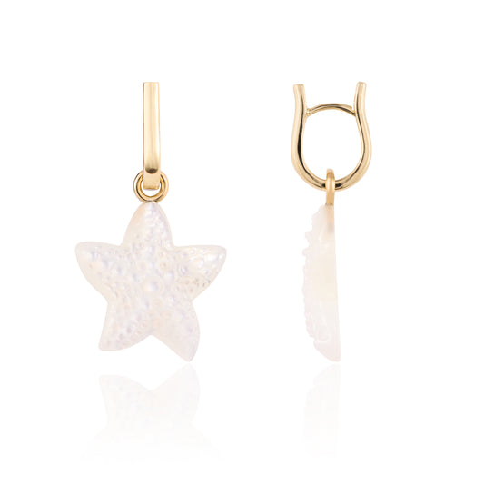 Mini Starfish Muse Loop Earrings