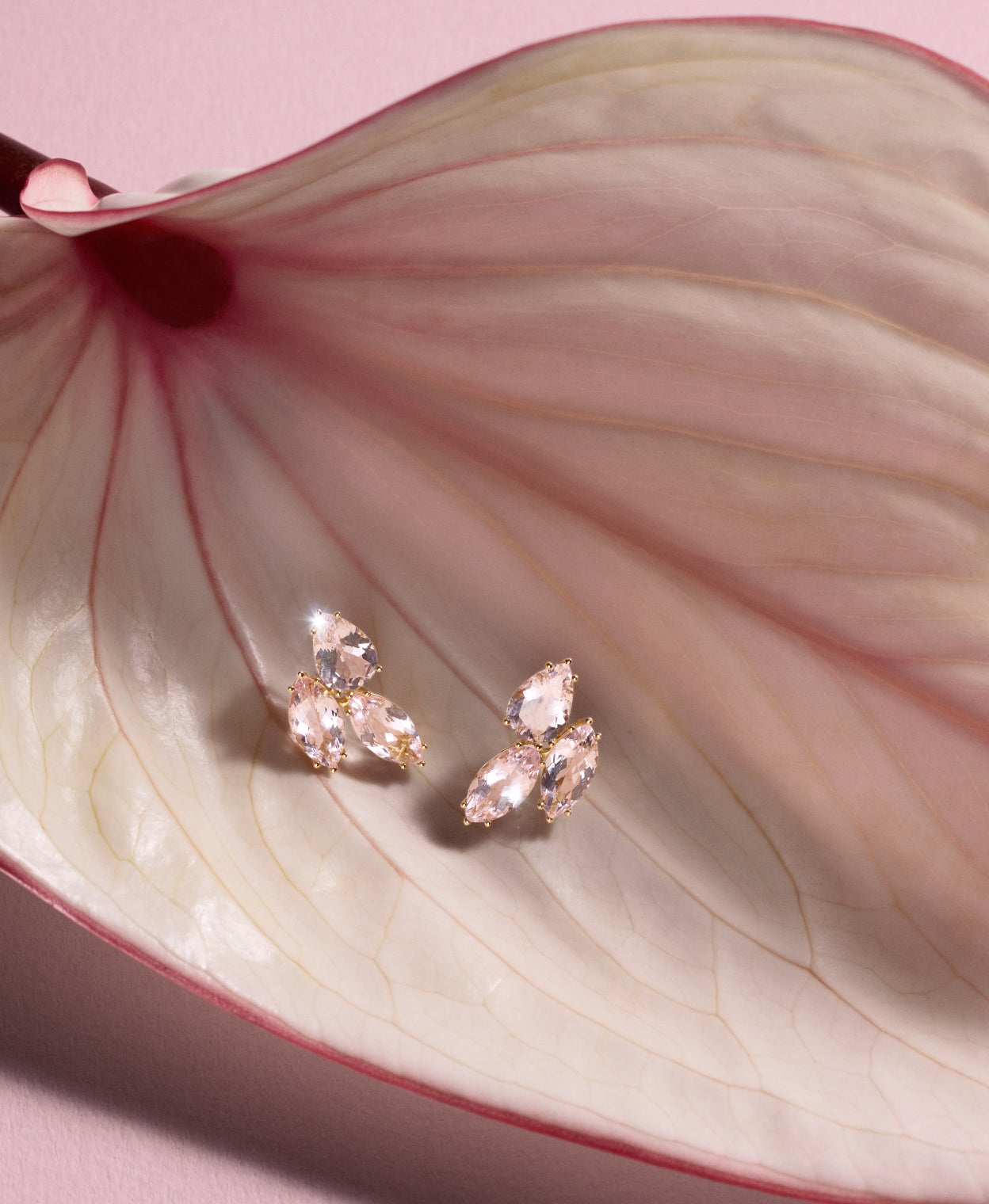 Pair of pale pink earrings on a pink lilly