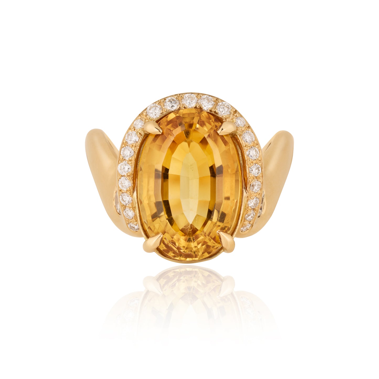 Evening on the Mara Mara Ring