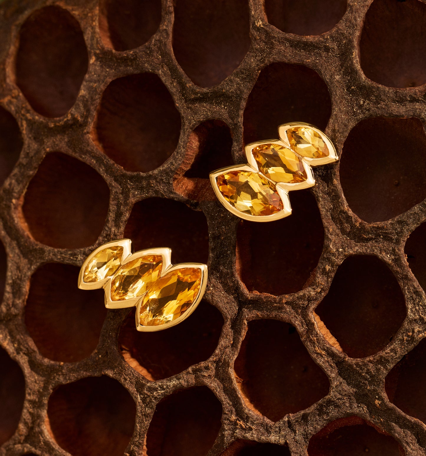 Evening on the Mara Mara Earrings