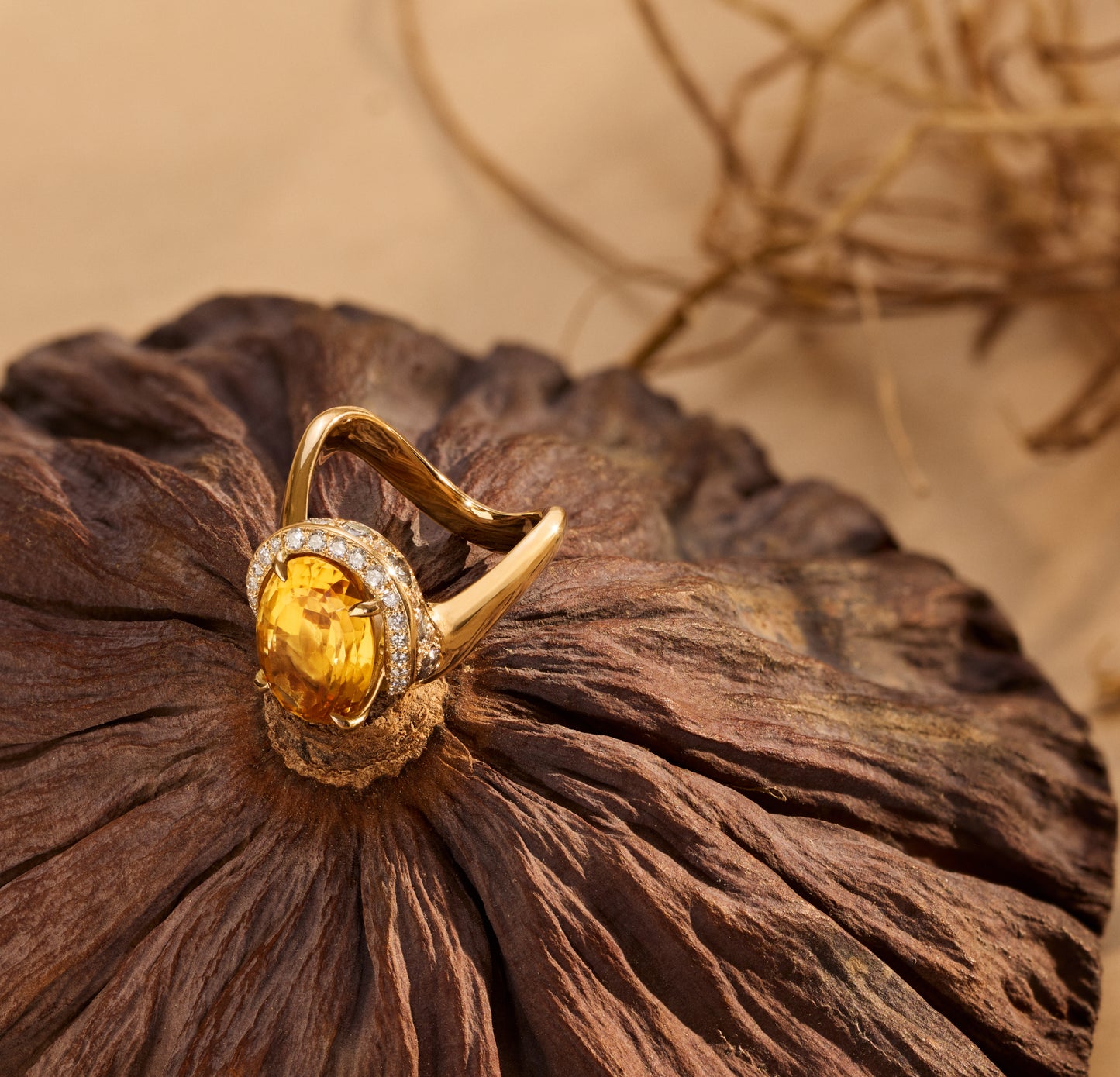 Evening on the Mara Mara Ring