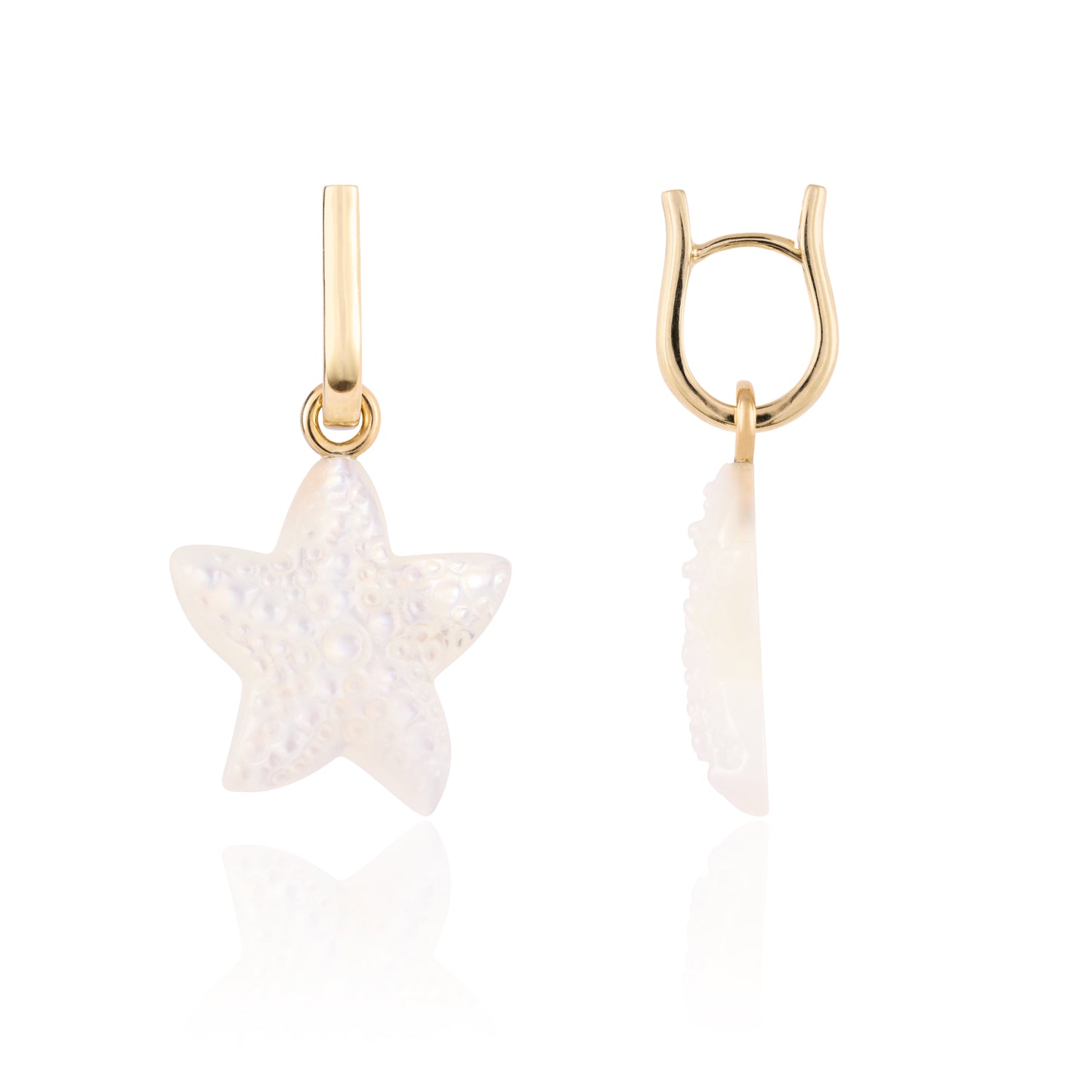 Mini Starfish Muse Loop Earrings
