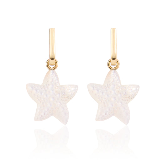 Mini Starfish Muse Loop Earrings