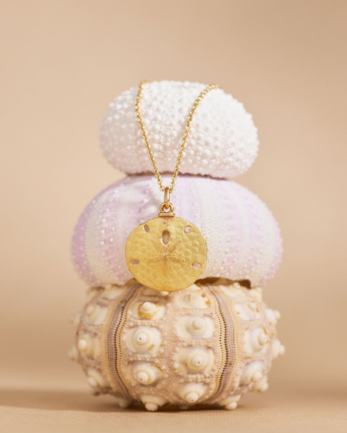 Sand Dollar Necklace
