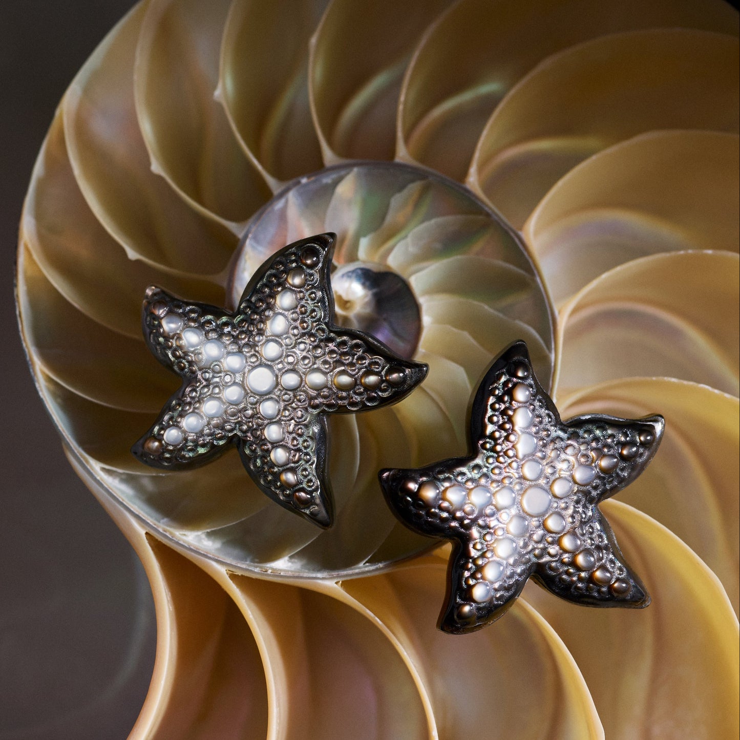 Starfish Siren Earrings